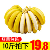 红高粱 高山甜 大香蕉 10斤