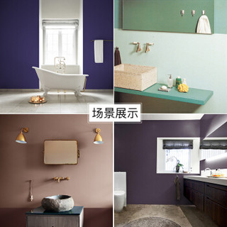 福乐阁（Flugger） 防水漆浴室厨房卫生间墙面漆进口水性乳胶漆涂料 卫浴漆 白色（发货前加入白色色浆，不支持退换货）或Nord 3L