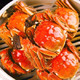 京东PLUS会员：大闸蟹鲜活螃蟹 2.0~2.5两  8只