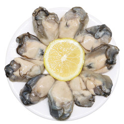XIANBOHUI 鲜博汇 鲜活冷冻生蚝肉 牡蛎肉海蛎子 500g 30-40个袋