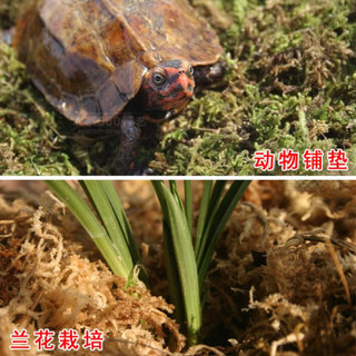 天然干水苔蝴蝶兰通用营养花土兰花苔藓基质多肉植保湿龟冬微景观 12L水苔