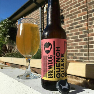 酿酒狗啤酒 英国进口精酿狗啤酒 Brewdog 酿酒狗西柚和橘子6瓶