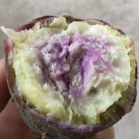 紫心红薯一点红冰淇淋红薯爆皮王地瓜香薯紫心红薯山芋5斤装板栗薯 *3件