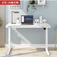  Loctek 乐歌 E5 玻璃面电动升降桌 120*60*72cm（支持快充）