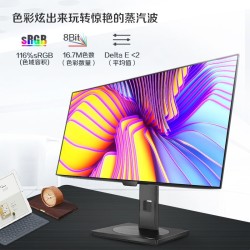 PHILIPS 飞利浦 275P1FR 27英寸 IPS显示器
