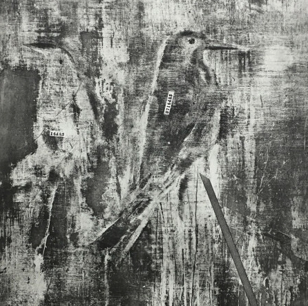 王家增铜板版画——《幻象4》 画芯尺寸 100×200cm