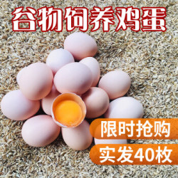 鲜知味 河南新鲜鸡蛋土鸡蛋 40枚