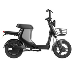 SUNRA 新日 XC1新国标电动自行车 48V20AH锂电池