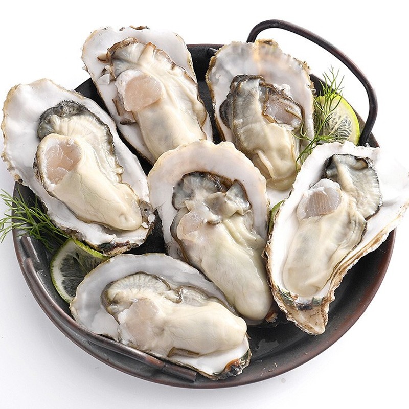 乐食港正宗乳山生蚝m号5斤净重4斤约3842个