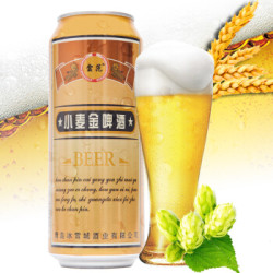 雲范 8°P青岛冰雪城啤酒 500ml*9听