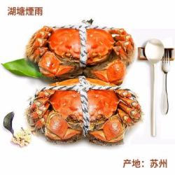 湖塘煙雨 公2.9-3.1两 母1.9-2.1两 4对8只装