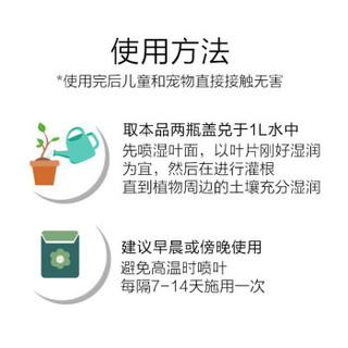 爱丽思家庭园艺营养液花肥 花卉/通用/多肉浓缩爱丽丝 绿叶型400ml