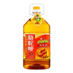 骆驼唛浓香花生油5L 物理压榨 香港品牌 一级食用花生油 新老包装随机发货