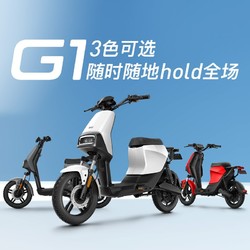 小牛电动 G1 40 新国标电动车 组合版