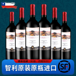 玛琪古佳美娜红酒智利原装进口干红葡萄酒750ML 六瓶装
