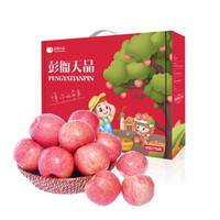 陕西洛川红富士苹果冰糖心新鲜苹果12枚5.5斤中秋礼盒脆甜多汁水果