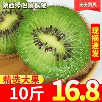 陕西绿心猕猴桃十斤装16.9