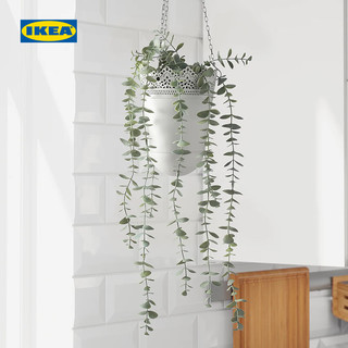 IKEA宜家FEJKA菲卡人造盆栽植物桉树