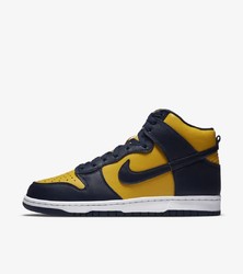 Nike Dunk Hi SP