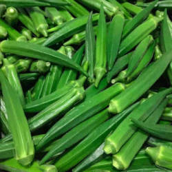 约巢3 5斤装农家自种羊角豆水果黄秋葵新鲜蔬菜新鲜秋葵精品3斤装 什么值得买