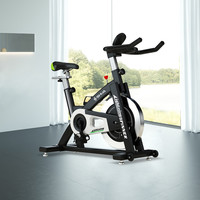 SHUA 舒华 B3656S 家用动感单车