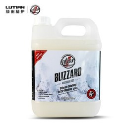 LUTIAN 绿田 雪崩上光洗车液 4L *2件+凑单品