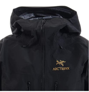 Arc'teryx 始祖鸟 Alpha SV 男士运动夹克 黑色 XL
