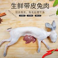 带皮兔子肉包邮3斤兔肉新鲜