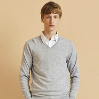 G2000 VIP9050290 男款v领毛衣