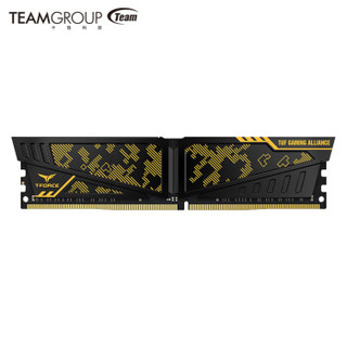 Team 十铨  DDR4 2666 8GB 台式机内存条 迷彩系列