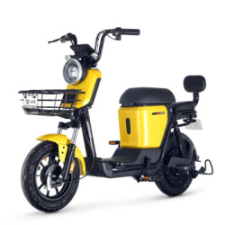 Luyuan 绿源 ZC-ZFA 电动自行车
