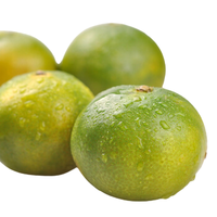 Lichu 犁楚 宜昌蜜桔 5斤