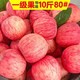 HUABEIQIANG 华北强 山西红富士苹果 10斤装