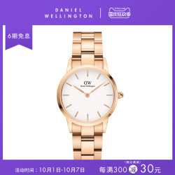 DanielWellington 李圣经同款 小精钢简约钢带石英表
