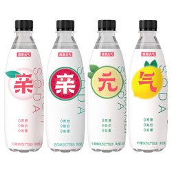 亲亲元气 无糖苏打水 500ml*12瓶