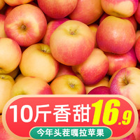 今年头茬新鲜苹果3斤