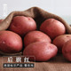 好货福利：后旗红 火山红皮土豆 8.5斤