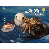 自然野趣—《海獭的美食漂流》 仿真动物手办