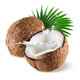 京东PLUS会员：老椰子热带大椰子孕妇水果    12个装 中果（1斤-1.5斤）