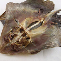 渔民自晒 老板鱼干鳐鱼干魔鬼鱼干货 1000克