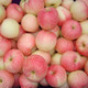 陕西红富士苹果水果当季新鲜冰糖心脆甜非青苹果10斤批发装 普通装 9.5-10斤大果高品质