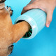 疯狂的小狗 狗狗洗脚神器自动洁足杯宠物洗爪器
