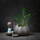 京东PLUS会员：燚窑 绿萝水培植物花瓶 坐莲-轻语小僧（不含植物）