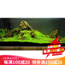 水草鱼缸 鱼缸造景套餐鱼缸装饰活体水草泥陶粒砂底砂对叶牛毛水草种子套餐活水草松皮石造景30cm套餐 7件多少钱 什么值得买 水草鱼缸 鱼缸造景套餐鱼缸装饰活体水草泥陶粒砂底砂对叶牛毛水草种子套餐活水草松皮石造景30cm套餐 7件多少钱 什么值得买