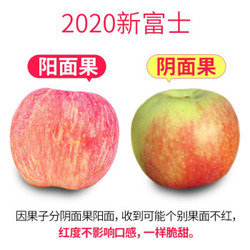 绿尔 新鲜红富士苹果水果冰糖心 5斤 *2件