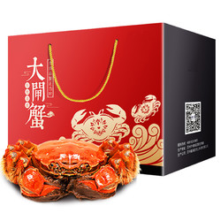挽渔大闸蟹鲜活螃蟹礼盒全母2.5-2.0两10只装香辣蟹面托蟹食材海鲜水产