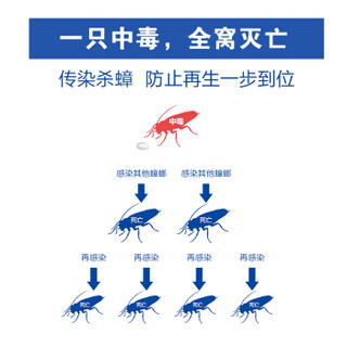 灭害灵 杀蟑螂药 杀虫剂 蟑螂胶饵 蟑螂屋全窝端