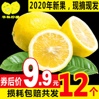 华秧安岳黄柠檬12个当应季新鲜水果一二级皮薄中果青柠檬整箱包邮
