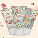 Cath Kidston 玫瑰保湿护手霜套装 30ml*3支装+赠护手霜30ml