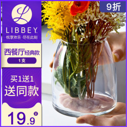 插花干花 玻璃干花瓶摆件透明插花装饰摆设欧式小绿萝水培容器多少钱 什么值得买